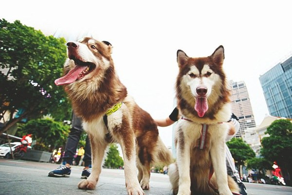 44chotrenphodibonguyenhue_ngocduong3_nxpz_BHQ