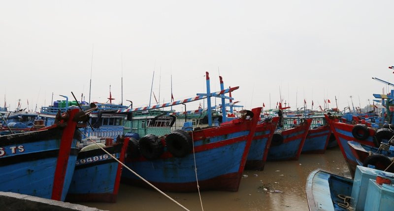 IMG_0011_WsE200yGX02FQL-o