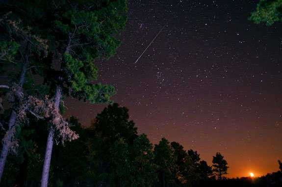 PerseidMeteorite11