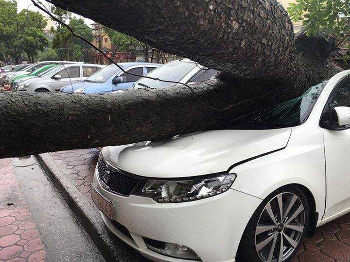 14089244_1165850483486026_4737063670623628548_n (1)