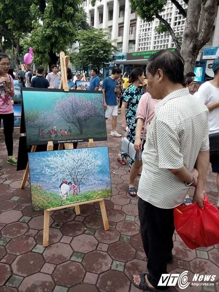 14199221_698955086925230_