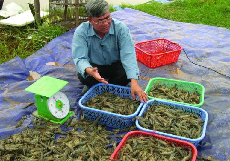 z300-Thuy-san-Viet-Nam2052