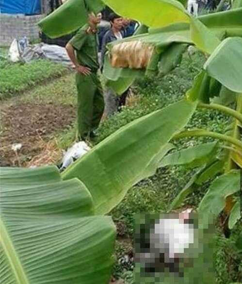 15036513_680241728812410_8675125095987145627_n