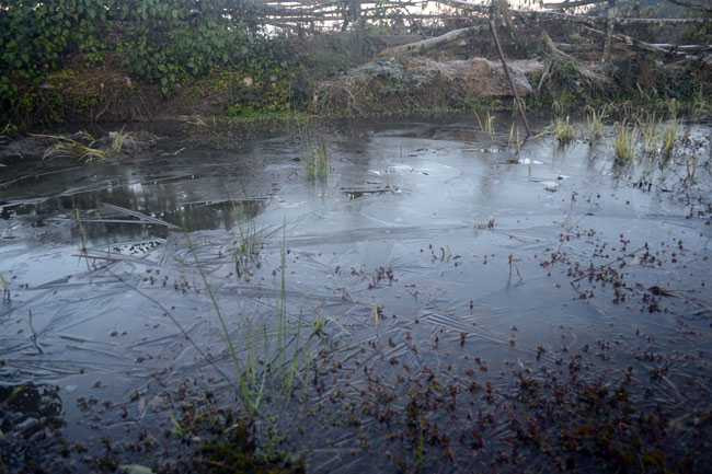 1434416736-qfdfnuoc_dong_thanh_bang_semp