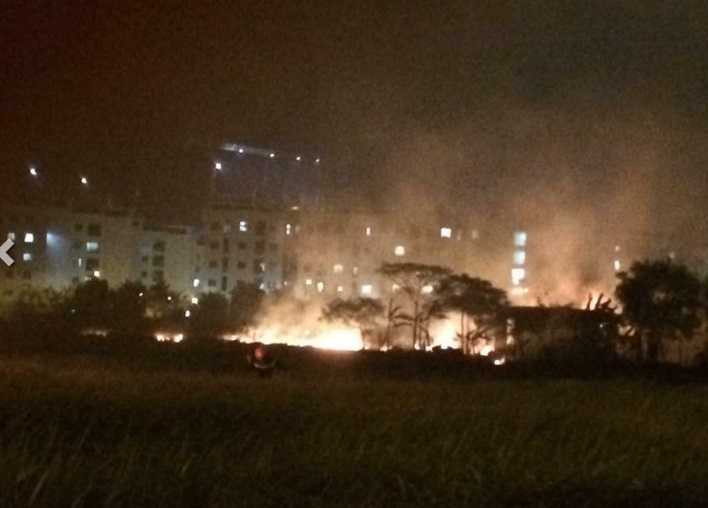 15178050_1156390914447681_9013489530233917952_n