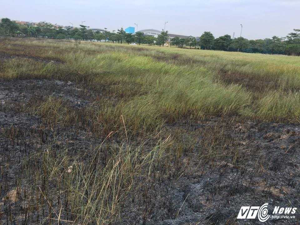 15281107_882868785180954_1533269869_n