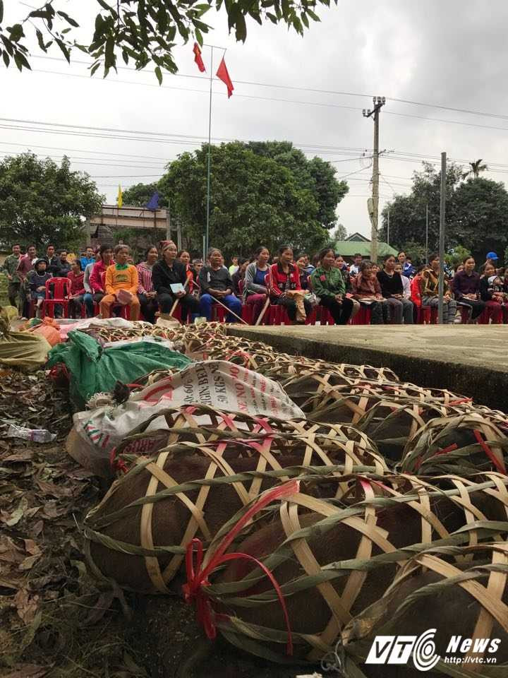 15403039_1815394118719365