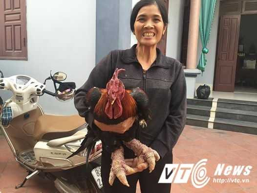 15621862_704260193070867_7915385505293023491_n