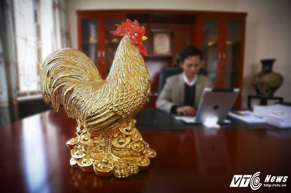 15782582_765111973642874_