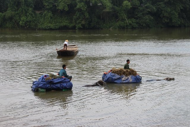 149570829536163-anh-1. 6