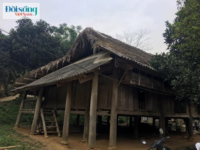 Cậu bé Xa Hồng Anh 2