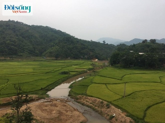 Cậu bé Xa Hồng Anh 1