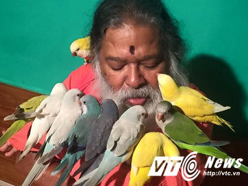 Chua-te-cua-cac-loai-chim (1)