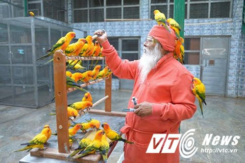 Chua-te-cua-cac-loai-chim (2)