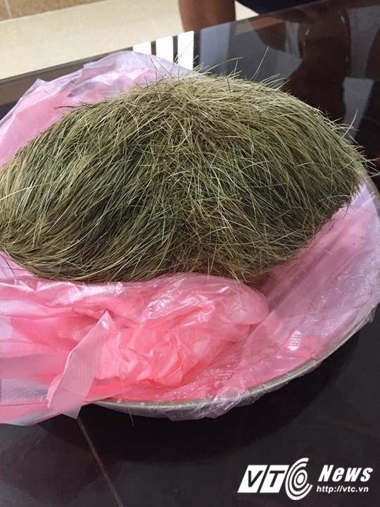 20120827_880890055398398_970192262_n