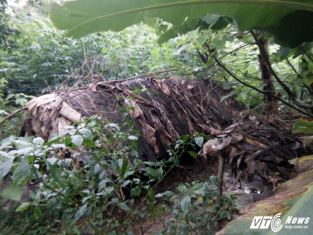 IMG20170712175621 11