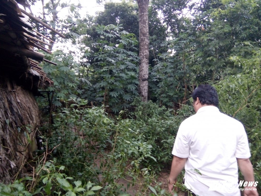 IMG20170712175631 10