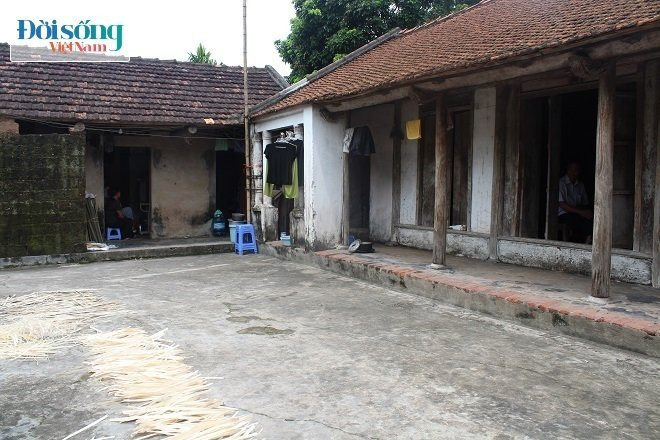 Cựu TNXP cùng bày con điên dại 1