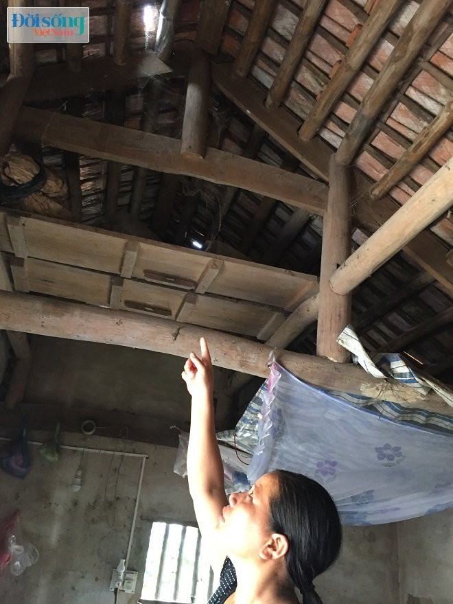 Cựu TNXP cùng bày con điên dại 13