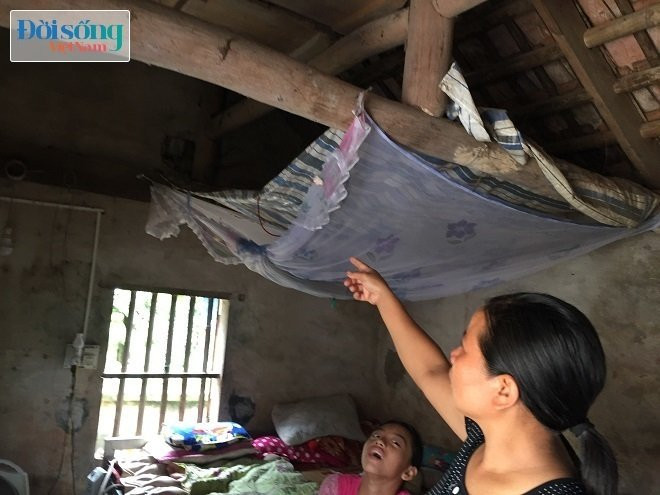 Cựu TNXP cùng bày con điên dại 14