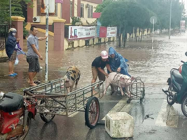 21743191_1950728261852616_2835549512969327504_n 7