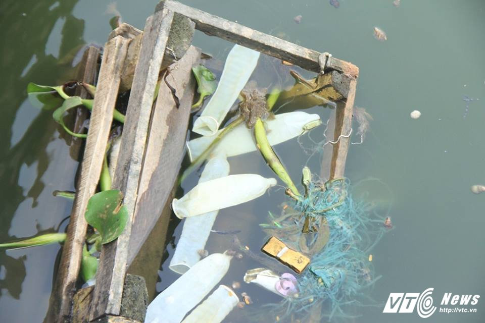 21905613_1063900270411137_1855622565_n