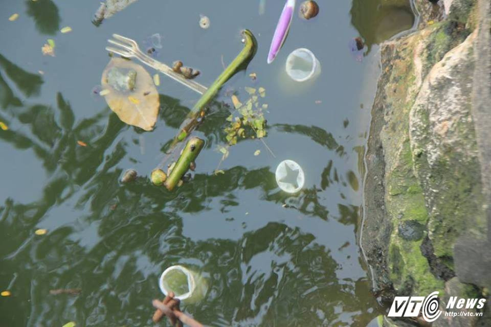 21919199_1063900253744472_24908305_n 3