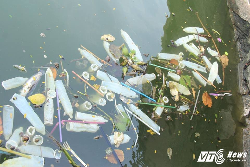 21984383_1063900263744471_2018807064_n 5