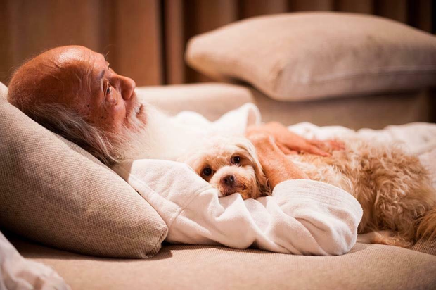 photo-1-1507532154541