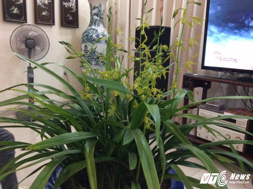 16114279_615485285325667_1064291580894007414_n