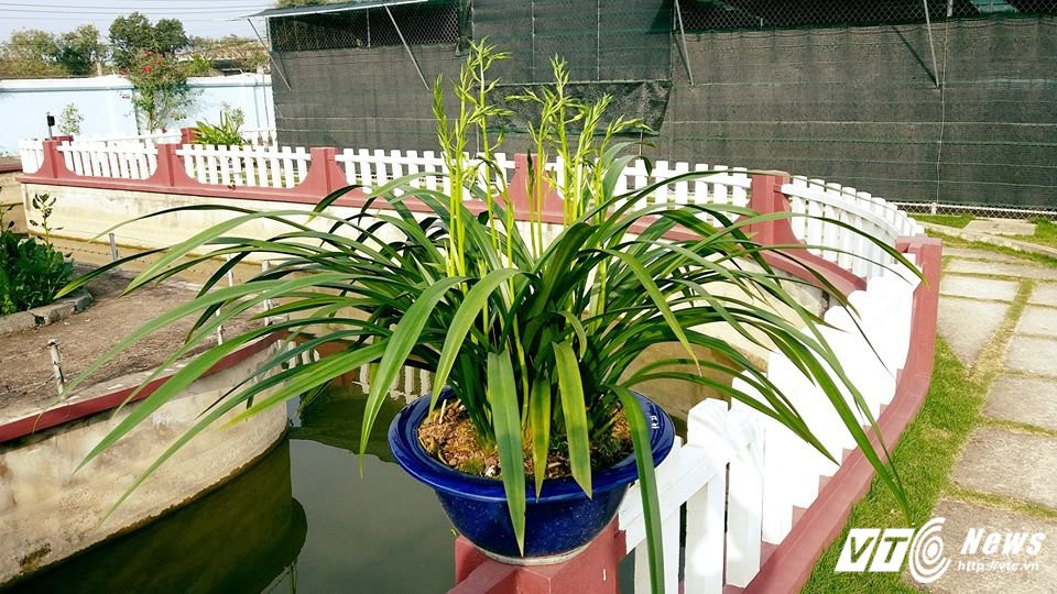 22154520_746770735530454_7476851632445258681_n 5