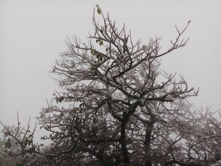 23844950_1202637639768465_1532252644874531726_n 3