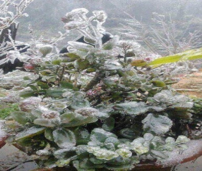 images2068541_23755683_1920887208160903_2509434779152912345_n 5