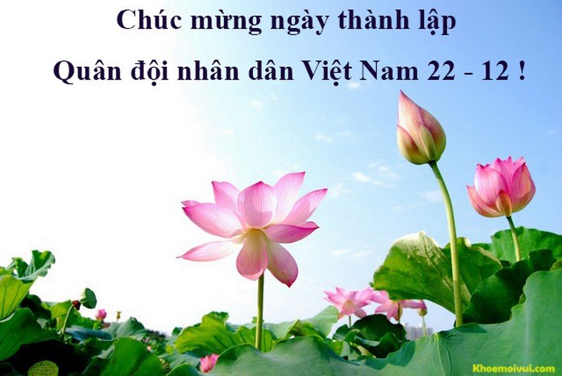 Hoa chúc mừng ngày thành lập Quân đội nhân dân Việt Nam 22/12