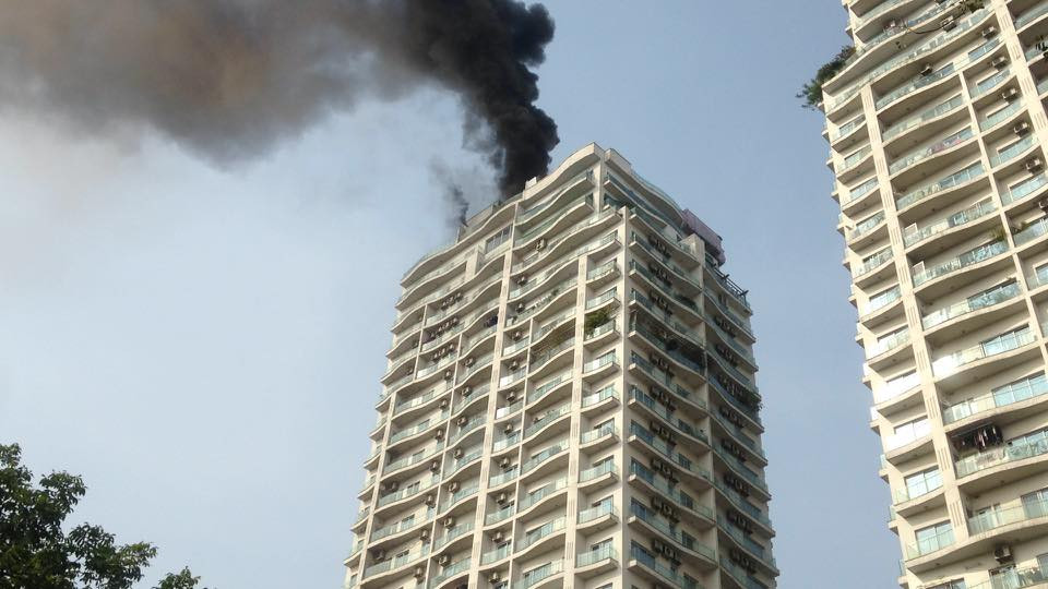 25660104_1482469845198958_4231260679679736553_n 7