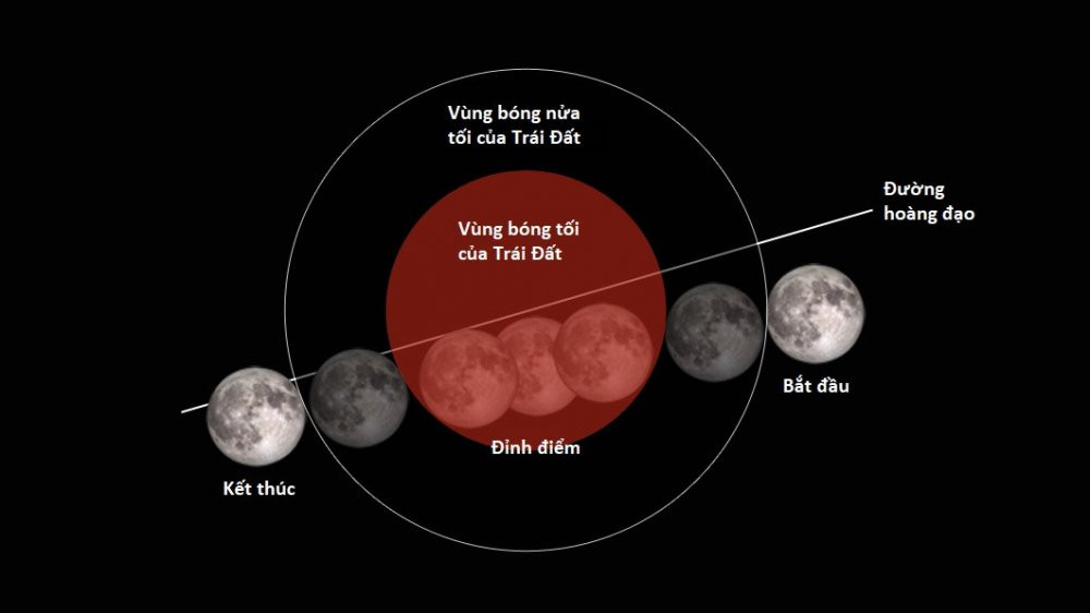 25192664228_2994838a66_o