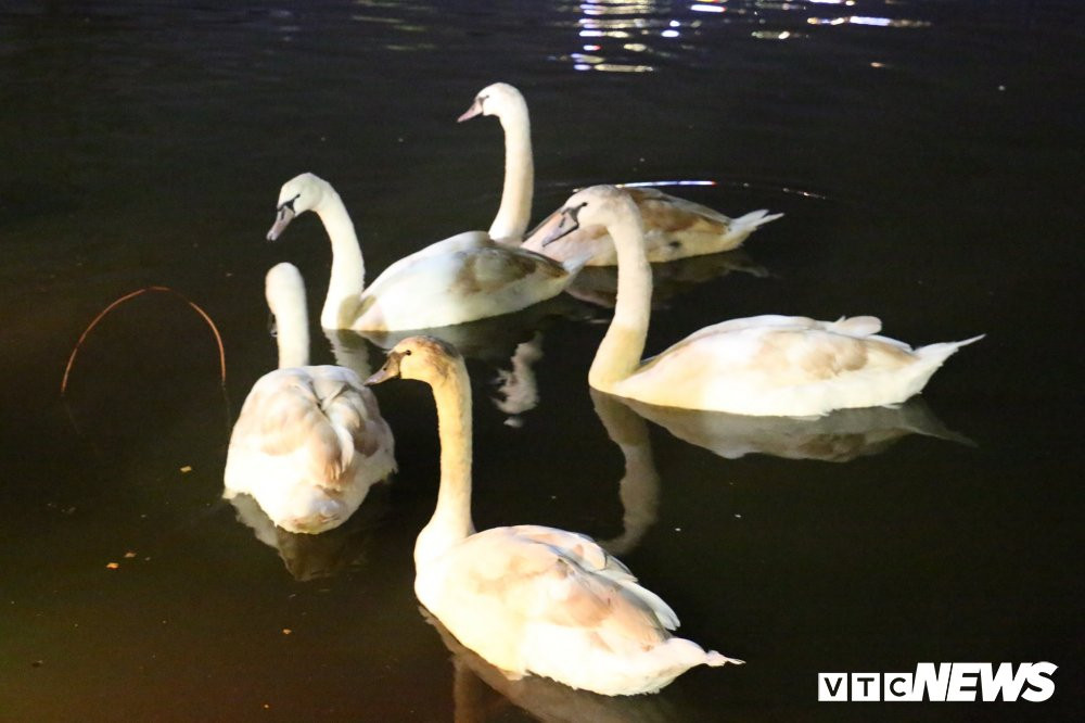 27369169_1447741005348178_7317915901699805499_o