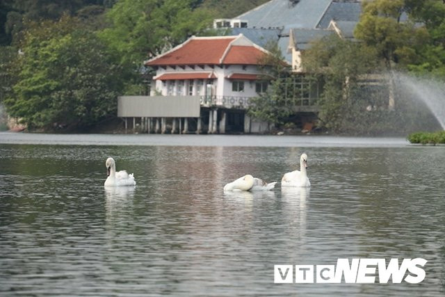 27721244_1448191991969746_1509627118_n