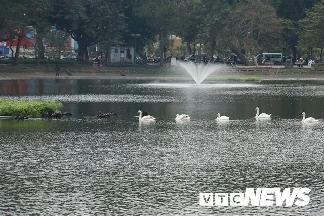 27781418_1448192018636410_1239931320_n