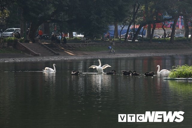 27781612_1448191731969772_1348110081_n