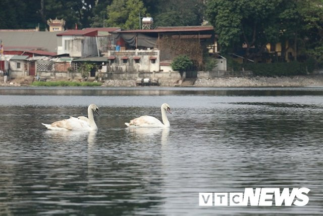 27781864_1448191915303087_1441671227_n