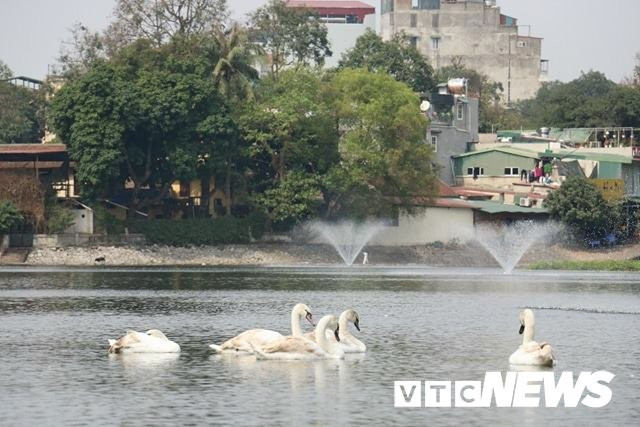 27847825_1448191931969752_13231382_n