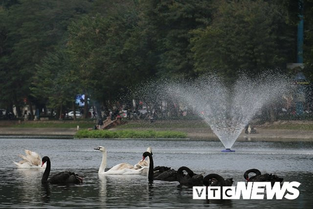 27848111_1448191808636431_1990159715_n