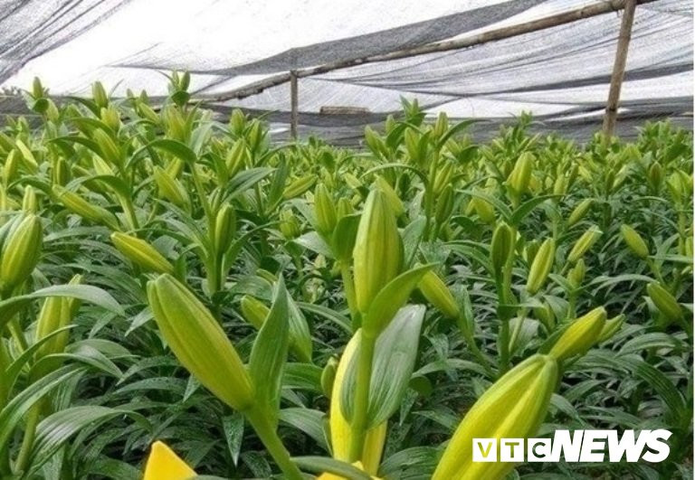 15826100-1204059086354882-6608029299676335250-n-bb-baaabLchk1 7