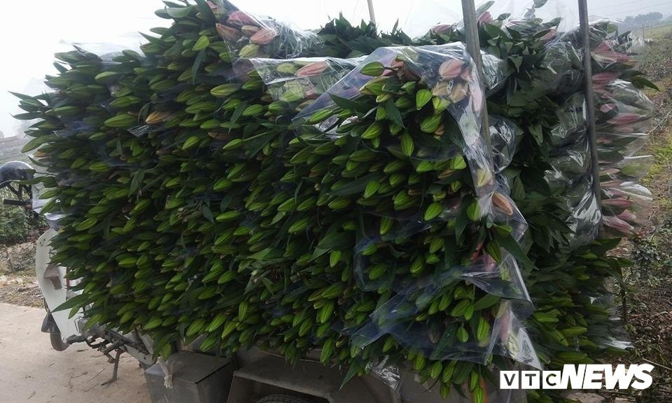 26230531-1554527381308049-7713461867462041851-n-bb-baaadpYWEf 3