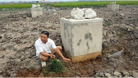 1-3_opt (Custom)_NYVU