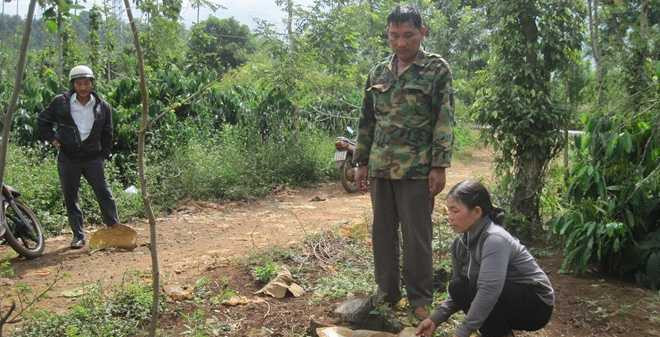 img-0539-1465290107521-44-0-381-660-crop-1465290175431 (1)