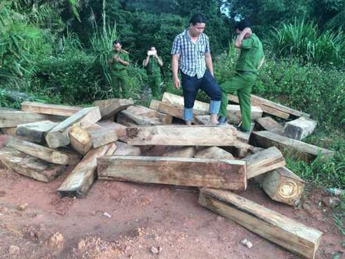 Hàng chục khối gỗ bị giấu cách Trạm Biên phòng Cửa khẩu Đắc Ốc khoảng 10 m. Ảnh: H.T