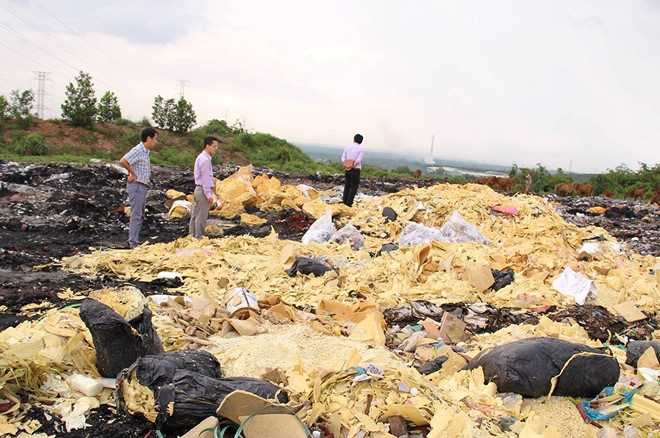 Vat nuoi, cay trong chet o at ben bai rac nghi do hoa chat hinh anh 1