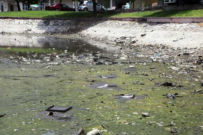 Hà Nội: Cá chết trắng hồ Ba Mẫu - 6